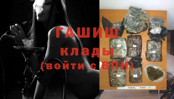 хмурый Абаза