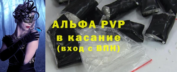 хмурый Абаза