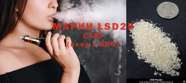 хмурый Абаза