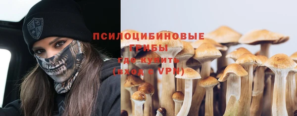 хмурый Абаза
