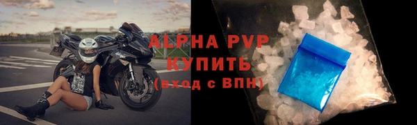 хмурый Абаза