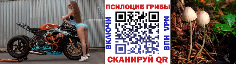 Галлюциногенные грибы мицелий  цена   Сольцы 